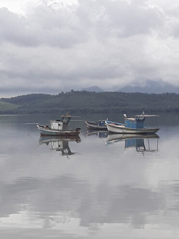 Ilha das Caieiras