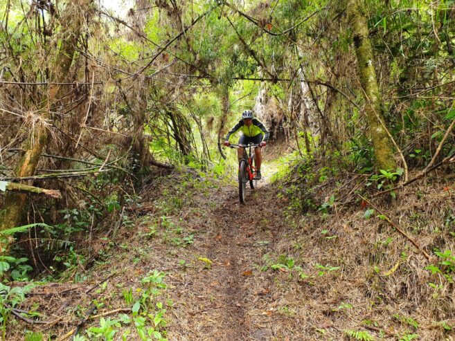 Prana Bike Park