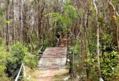 Araxá Bike Park