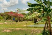 Araxá Bike Park