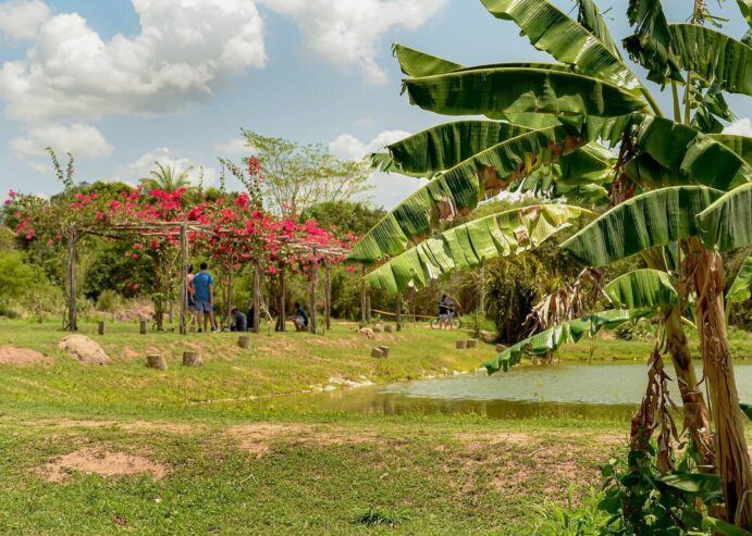 Araxá Bike Park