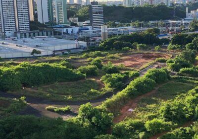 Bike-Park-Salvador-Vibe-Bike-3