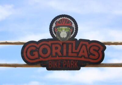 Gorilas-Bike-Park-Vibe-Bike-2