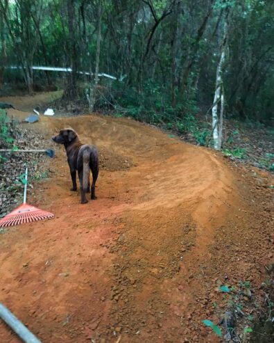 Vidal Bike Park