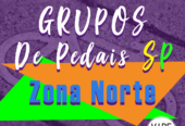 Grupos de SP – Zona Norte